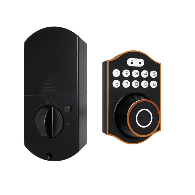 Tuya WLAN Fingerprint Türschloss Smart Keyless