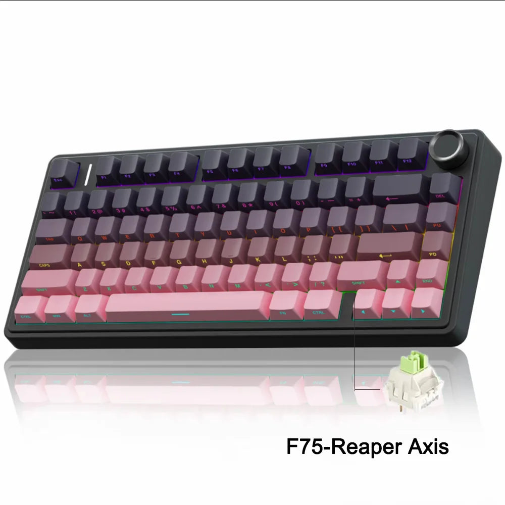 AULA F75 Mechanische Gaming Tastatur