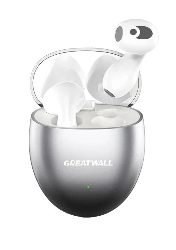 Écouteurs intra-auriculaires Bluetooth GREATWALL