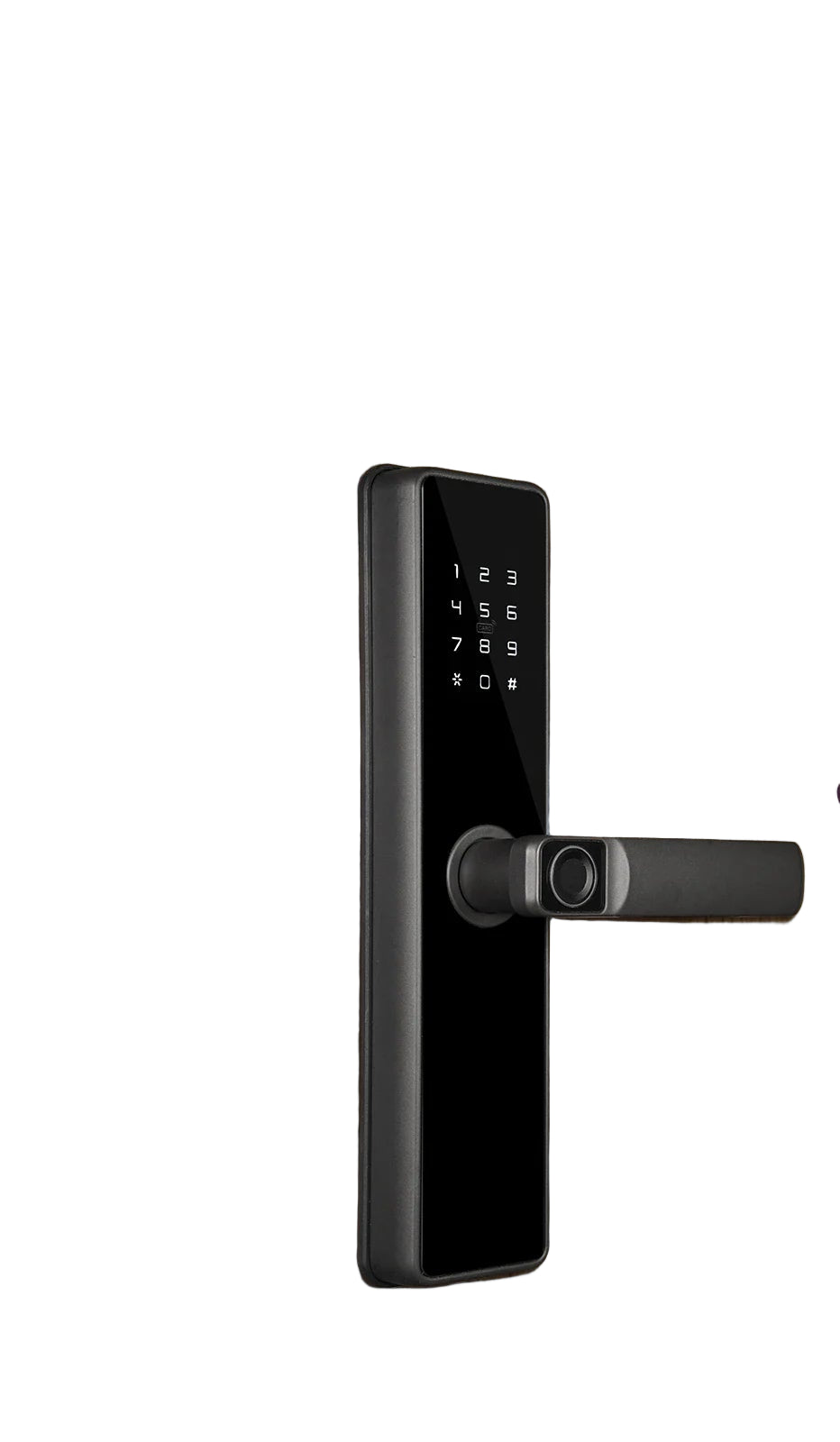 ZigBee Türschloss mit Fingerabdruck und Fernzugriff