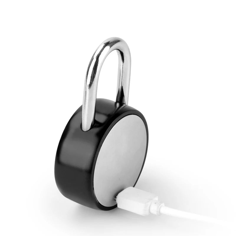 Wasserdichtes Fingerabdruck-Vorhängeschloss IP68 USB