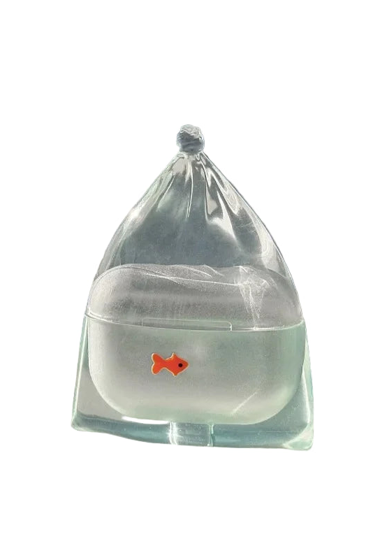 Transparent silicone AirPods case, fish design