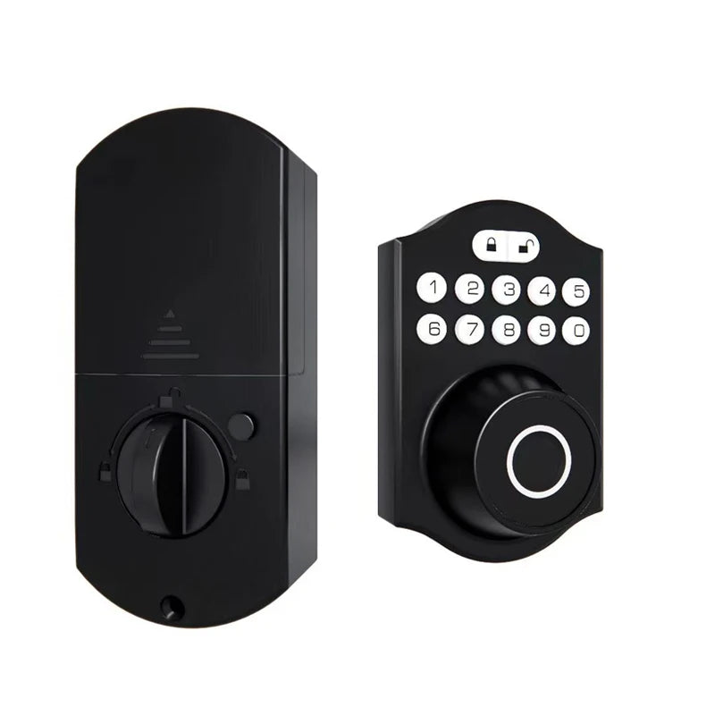 Tuya WLAN Fingerprint Türschloss Smart Keyless
